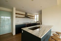 Botanic Gardens View (D10), Apartment #627455521